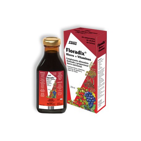 Floradix sciroppo 500ml. Salus.