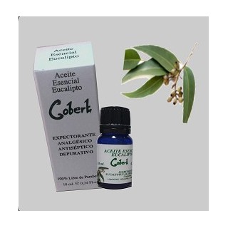 Eucalyptus Essential Oil