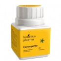 Harpagofito 60 comprimidos Botanical Pharma