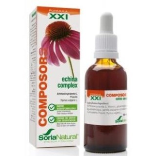 Product Composor 8. Echina Complex XXI . Soria Natural.