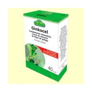 Ginkocel. Ginkgo biloba. Dr.Dünner.