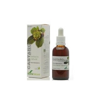 Chestnut Extract the Indies. Natural Soria.